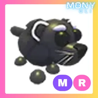 MR BINTURONG