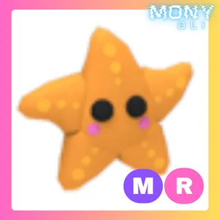 MR STARFISH