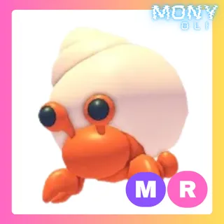 MR HERMIT CRAB