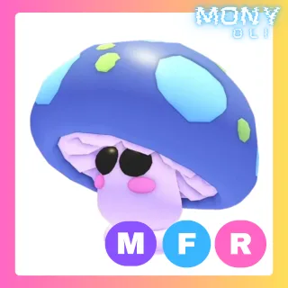 MFR MUSHROOM FRIEND