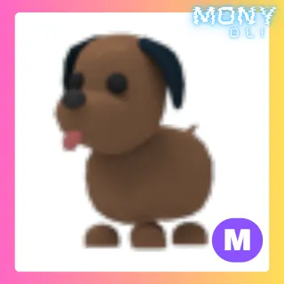 MEGA NEON CHOCOLATE LABRADOR 