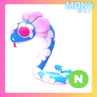 NEON BLOSSOM SNAKE 