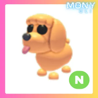 TOY POODLE NEON