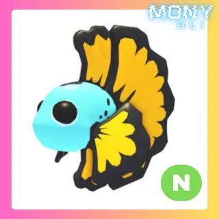 NEON BLUE BETTA FISH