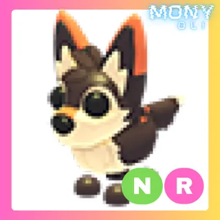 NR MEXICAN WOLF