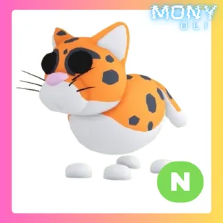 NEON INDIAN LEOPARD 