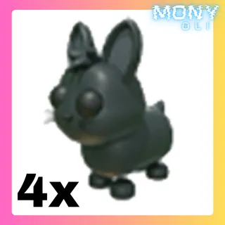 4X AMAMI RABBIT 