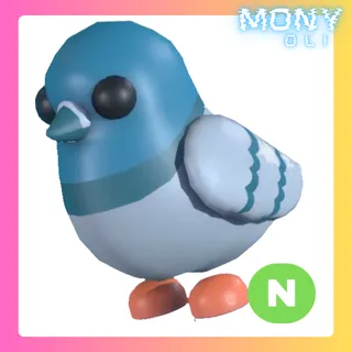 NEON ROCK PIGEON 