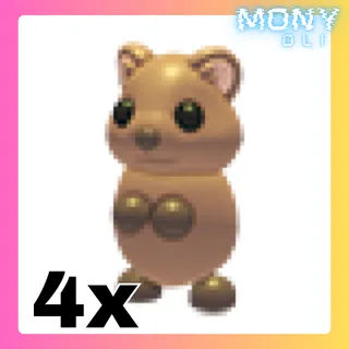 4X QUOKKA