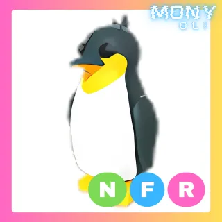 KING PENGUIN NFR
