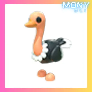 OSTRICH 