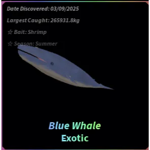 Blue Whale | Fisch - Fast Delivery