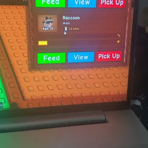 grow a garden racoon