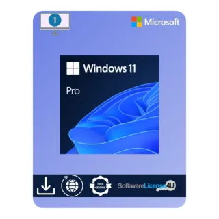 Windows 11 online pro key