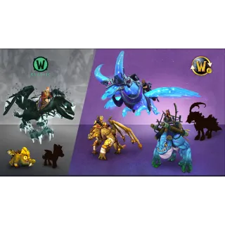 World of Warcraft : Year of Azeroth 12 months subscription - China