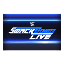 Wwe Smackdown Live In Game Items Gameflip