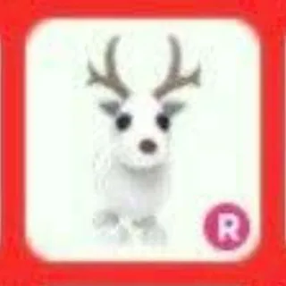 R ARCTIC REINDEER