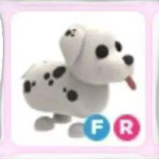 FR DALMATIAN