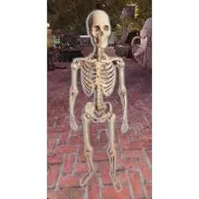 SKULL AND BONES PLANS BUNDLE X 12