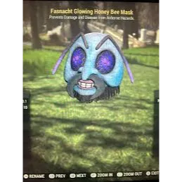 FASNACHT GLOWING HONEY BEE & ROBOT 