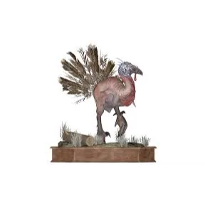 TAXIDERMY PLANS BUNDLE X 38