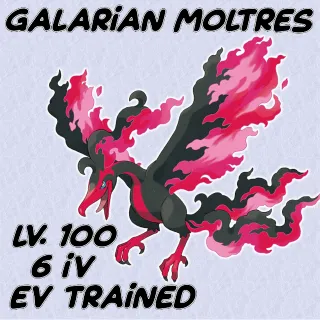 Other | Galarian Moltres 6 IV