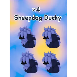🦆 ×4 Sheepdog Ducky🐥