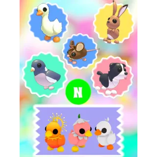 🌸All 8 NEON Pets From Spring Festival 2023, Neon Goose, Neon Border Collie, Neon Field Mouse, Neon Wood Pigeon + MORE🌸