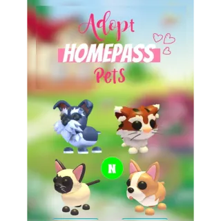 🏡Adopt Homepass Pet's Week 1 & 2 NEONS ALL 4 PET'S🐾