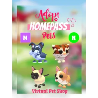 🏡Adopt Homepass Pet's Week 1 & 2 Mega & Neon Bundle🐾