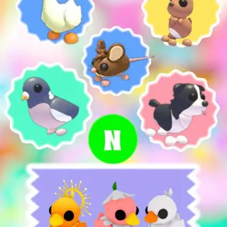 🌸All 8 NEON Pets Neon Goose, Neon Border Collie, Neon Field Mouse, Neon Wood Pigeon, Neon Hare, Neon Happy Duckling & More🌸
