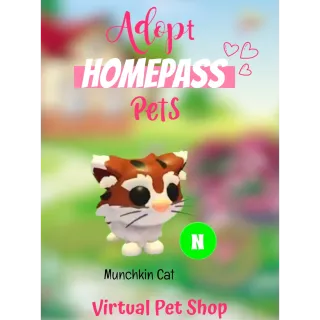 🏡Adopt Homepass Pet's NEON Munchkin Cat🐾