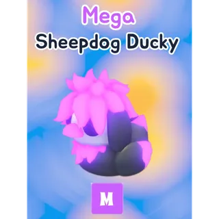 🦆 Mega Sheepdog Ducky🐥