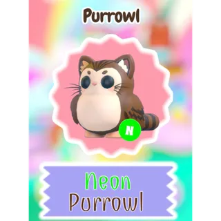 🌸 Neon Purrowl 🌼