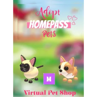 🏡Adopt Homepass Pet's MEGA French Bulld & MEGA Siamese Catog🐾