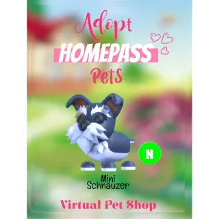 🏡Adopt Homepass Pet's NEON Mini Schnauzer 🐾