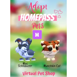 🏡Adopt Homepass Pet's MEGA Bundle MEGA Mini Schnauzer & MEGA Munchkin Cat🐾