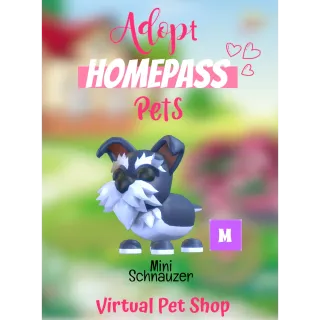 🏡Adopt Homepass Pet's Mega Mini Schnauzer 🐾