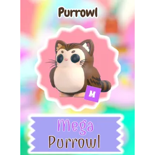 🌸 Mega Purrowl 🌼