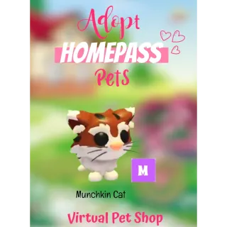 🏡Adopt Homepass Pet's MEGA Munchkin Cat🐾