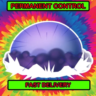 PERMANENT CONTROL