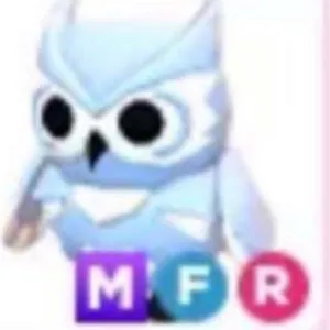 MFR Snow owl