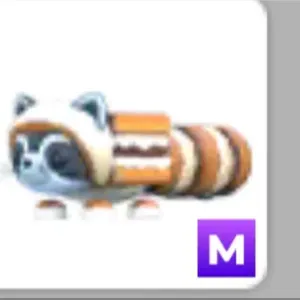 mega s’mores raccoon