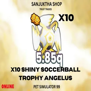x10 shiny soccerball trophy angelus ps99