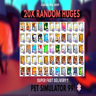 20X RANDOM HUGES ps99