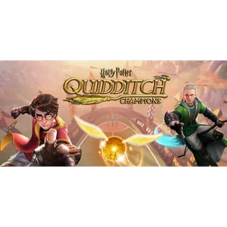 Harry Potter Quidditch Champions