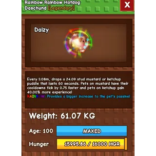 Double rainbow Hotdog Daschund 60kg