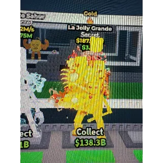 La jolly grande 187.5M/S golden 