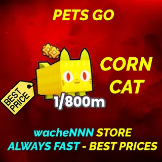 CORN CAT PETS GO