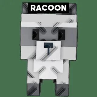 RACOON